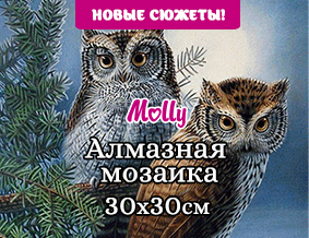 Картины по номерам | Алмазная мозаика | от производителя SilverToys.ru