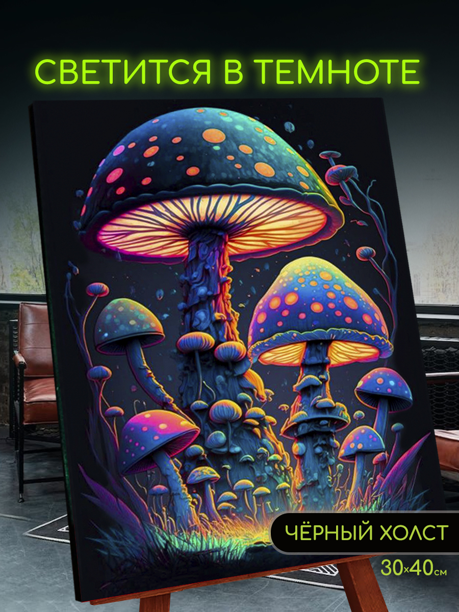 картинка Картина по номерам на черном холсте со светящейся краской 30х40 Фантастические грибы от магазина Игрушки-