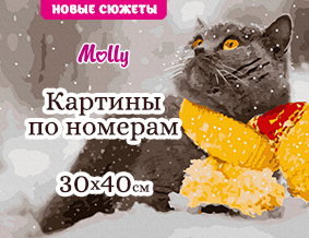 Картины по номерам  30х40 с цветной схемой