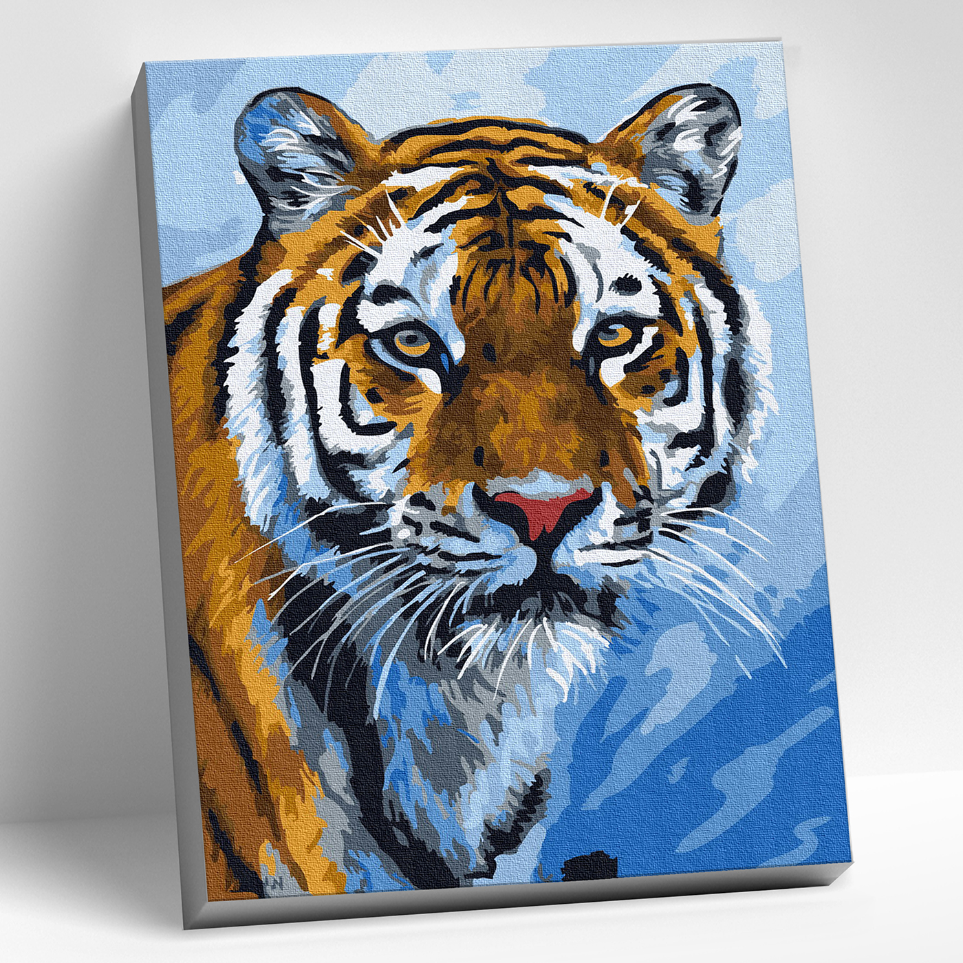 картинка Набор юного художника 20х30 Глаза тигра от магазина Игрушки-