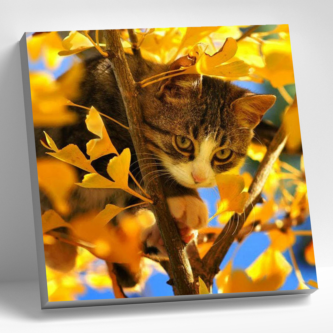 картинка Алмазная мозаика 30х30 Кот на дереве от магазина Игрушки-