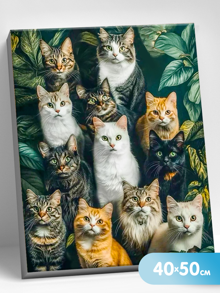 картинка Картина по номерам 40х50 Кошачье изобилие от магазина Игрушки-