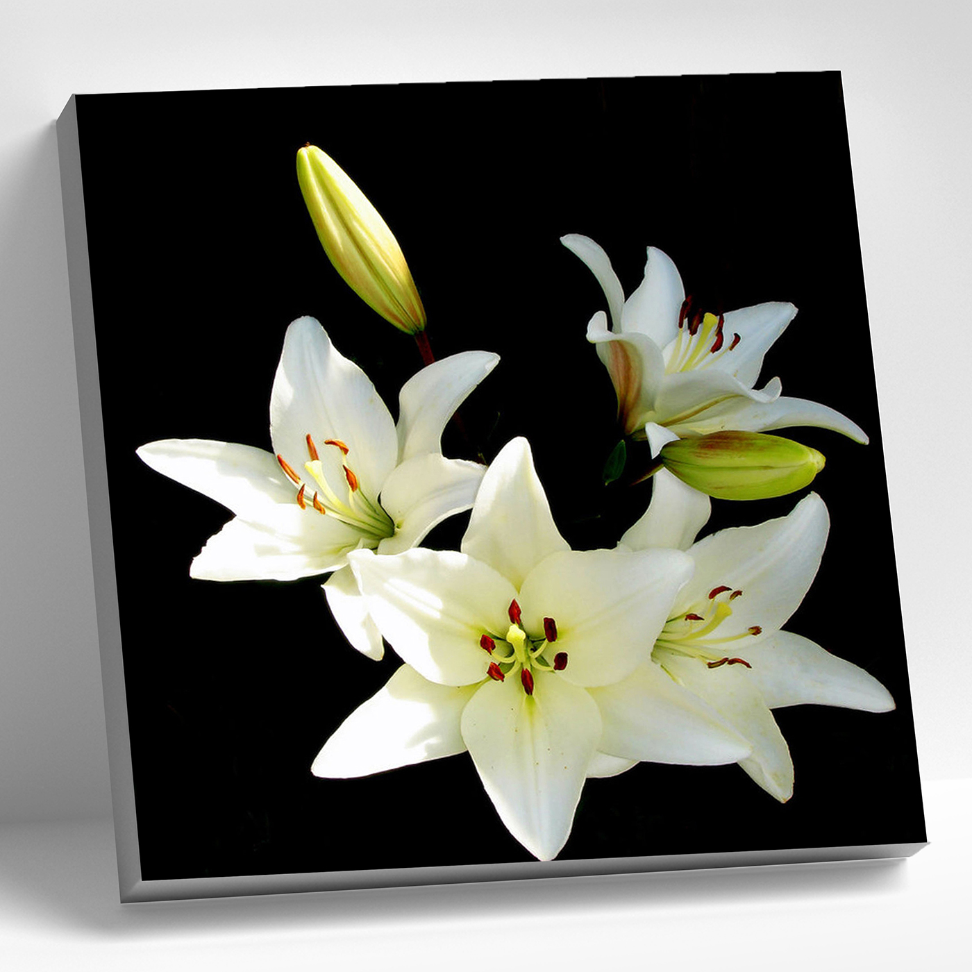 картинка Алмазная мозаика 30х30 Белые лилии от магазина Игрушки-
