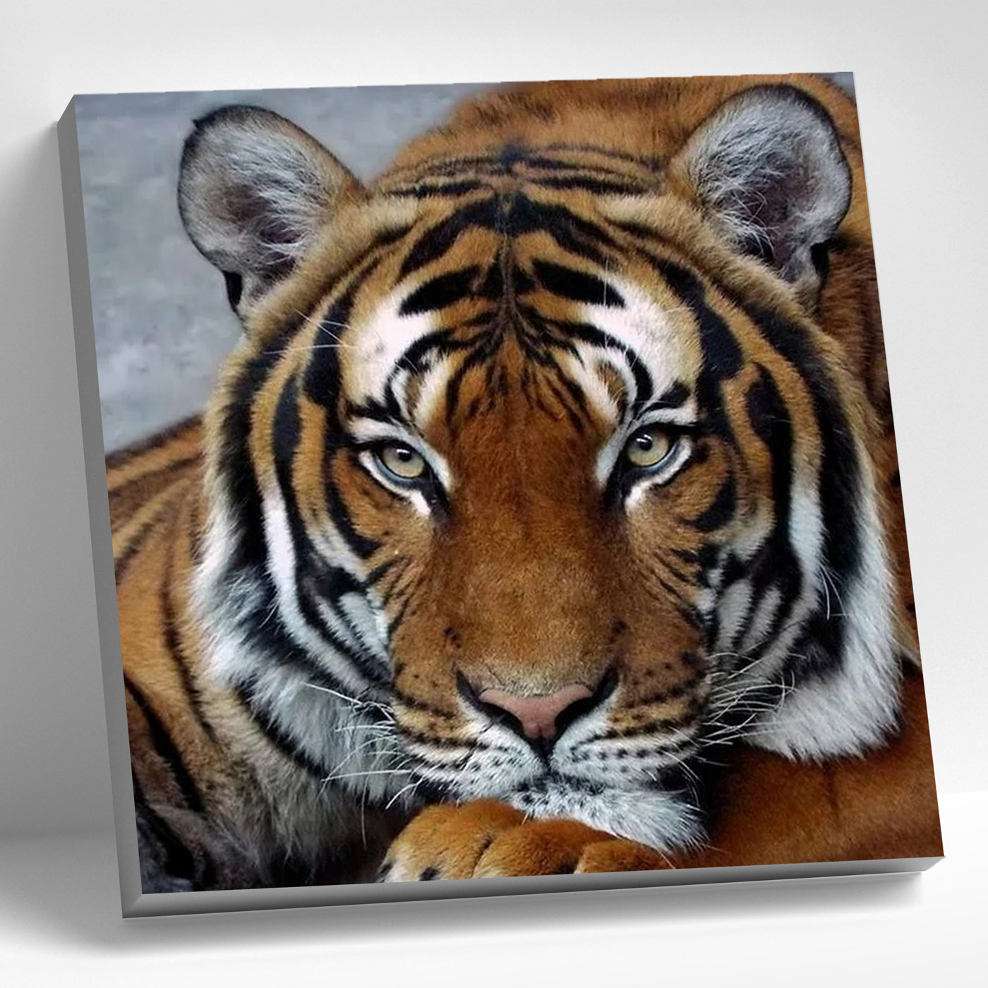 картинка Алмазная мозаика 30х30 Задумчивый тигр от магазина Одежда-